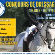 Concours de dressage