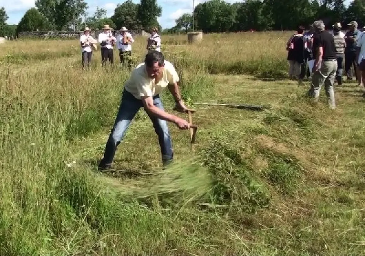 Concours de Fauchage à la faux à Nigresserre