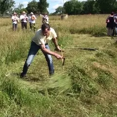 Concours de Fauchage à la faux à Nigresserre