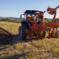 Concours de labour
