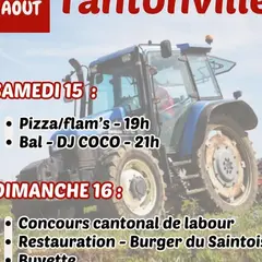 Concours de labour cantonale