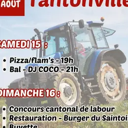 Concours de labour cantonale