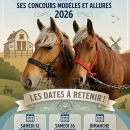 Concours De Modele Et Allures De Chevaux De Trait