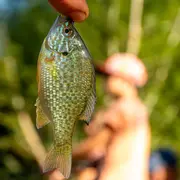 Concours de pêche