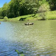 Concours de pêche