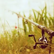 Concours de pêche