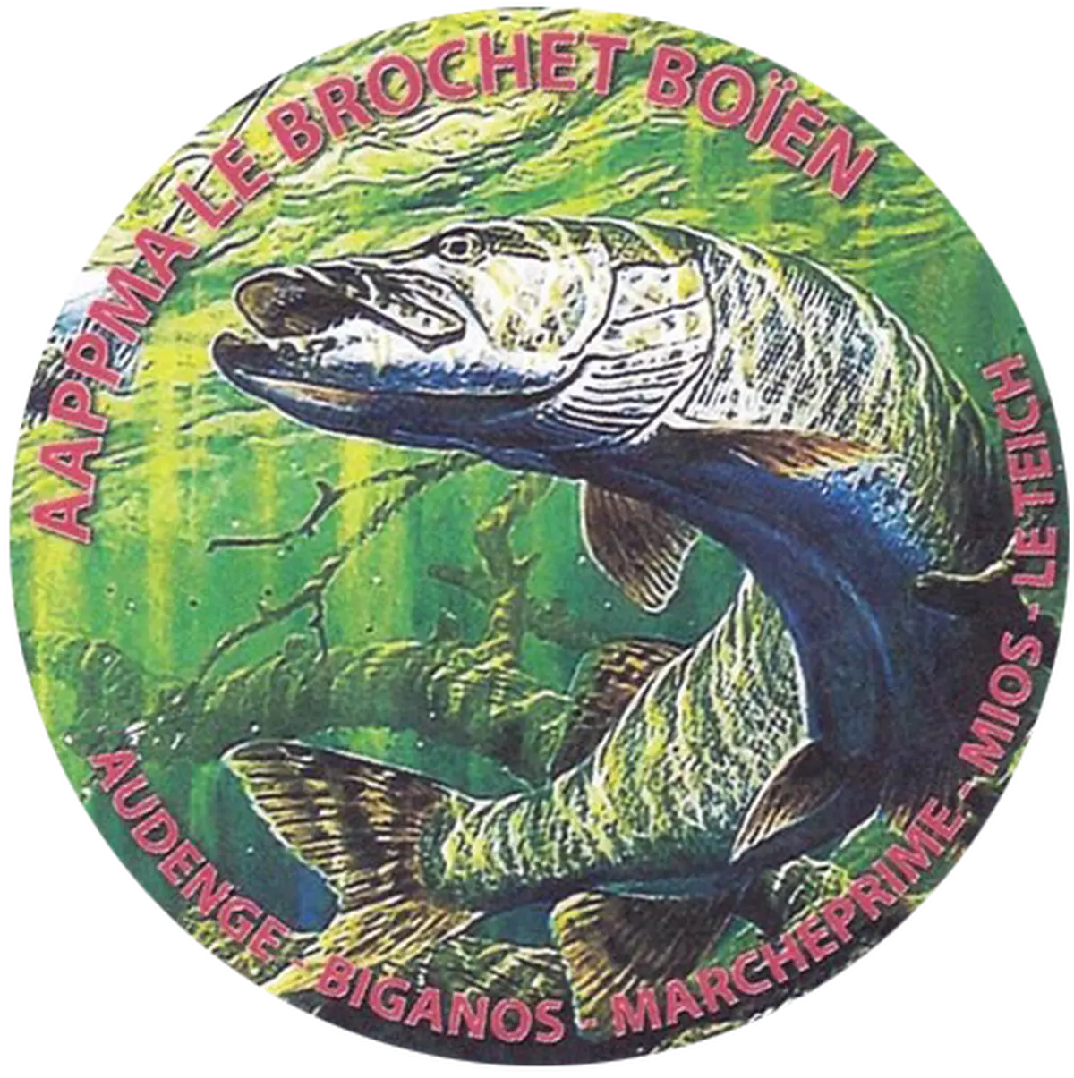 Concours de pêche