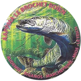 Concours de pêche