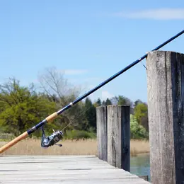Concours de pêche à la truite des Ferias