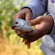 Concours de Pêche à Lacapelle-Marival