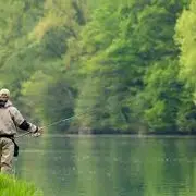 Concours de Pêche au coup