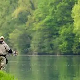 Concours de Pêche au coup