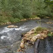 Concours de pêche et vide-grenier
