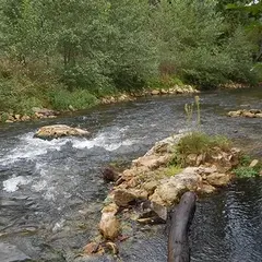 Concours de pêche et vide-grenier
