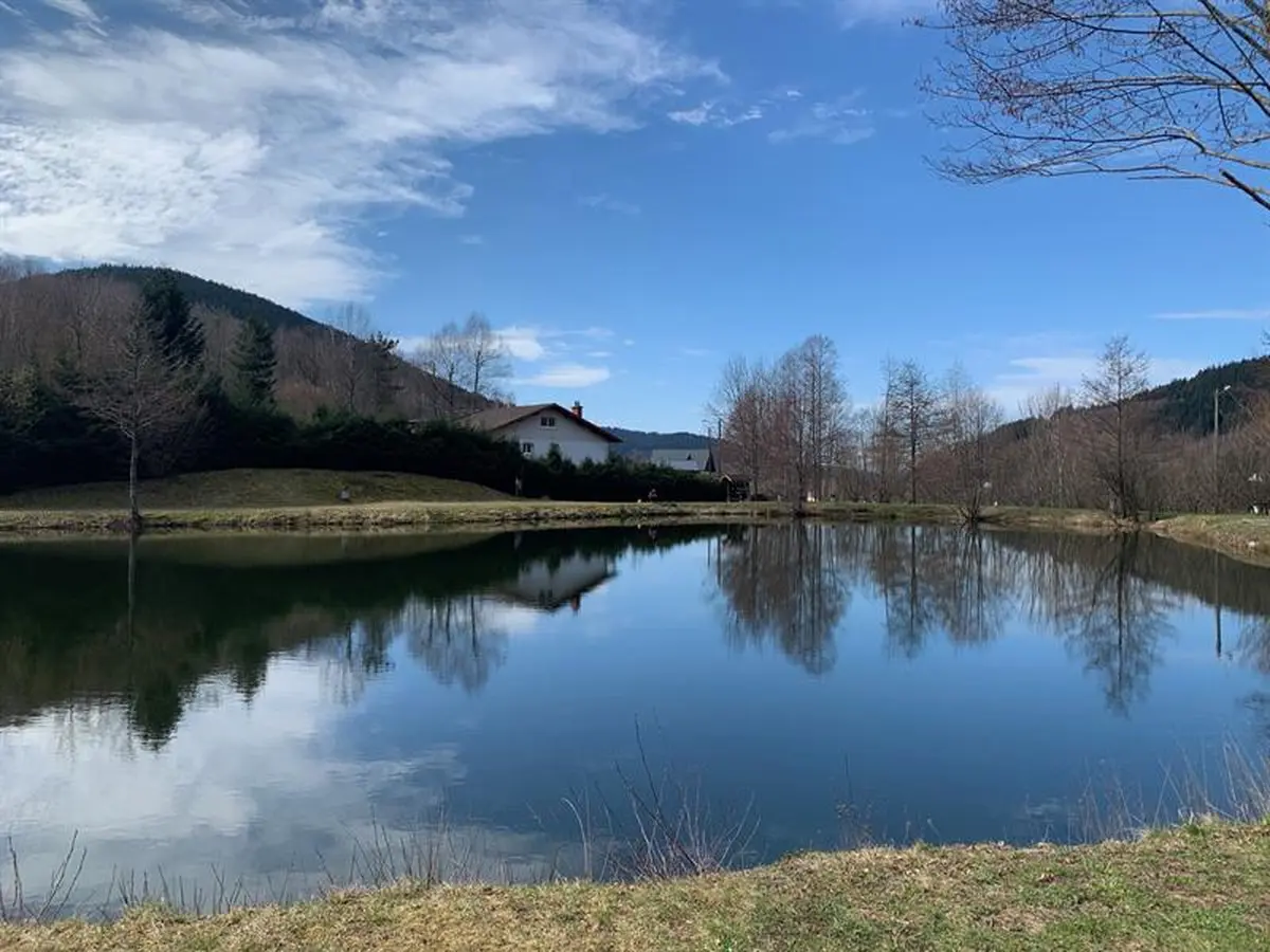 Concours de pêche Michele Perrin - grosses truites baguées