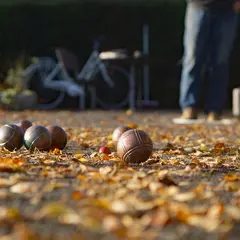 Concours de pétanque