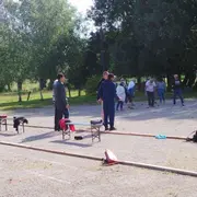 Concours de pétanque amateur et démonstration de peinture