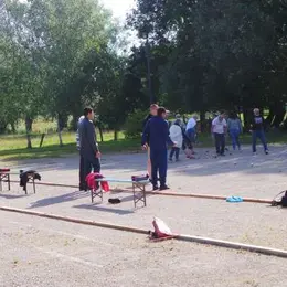 Concours de pétanque amateur et démonstration de peinture