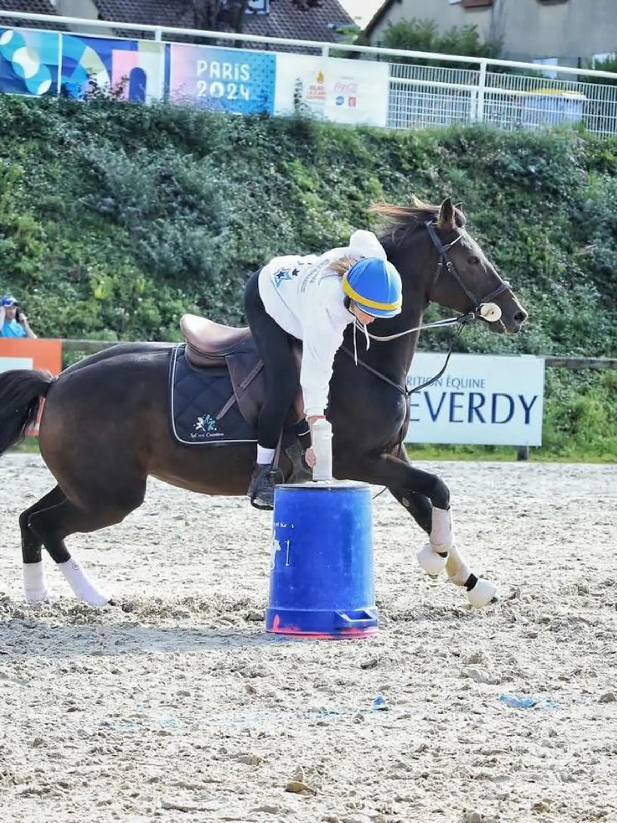 Concours de Pony- Games