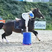 Concours de Pony- Games