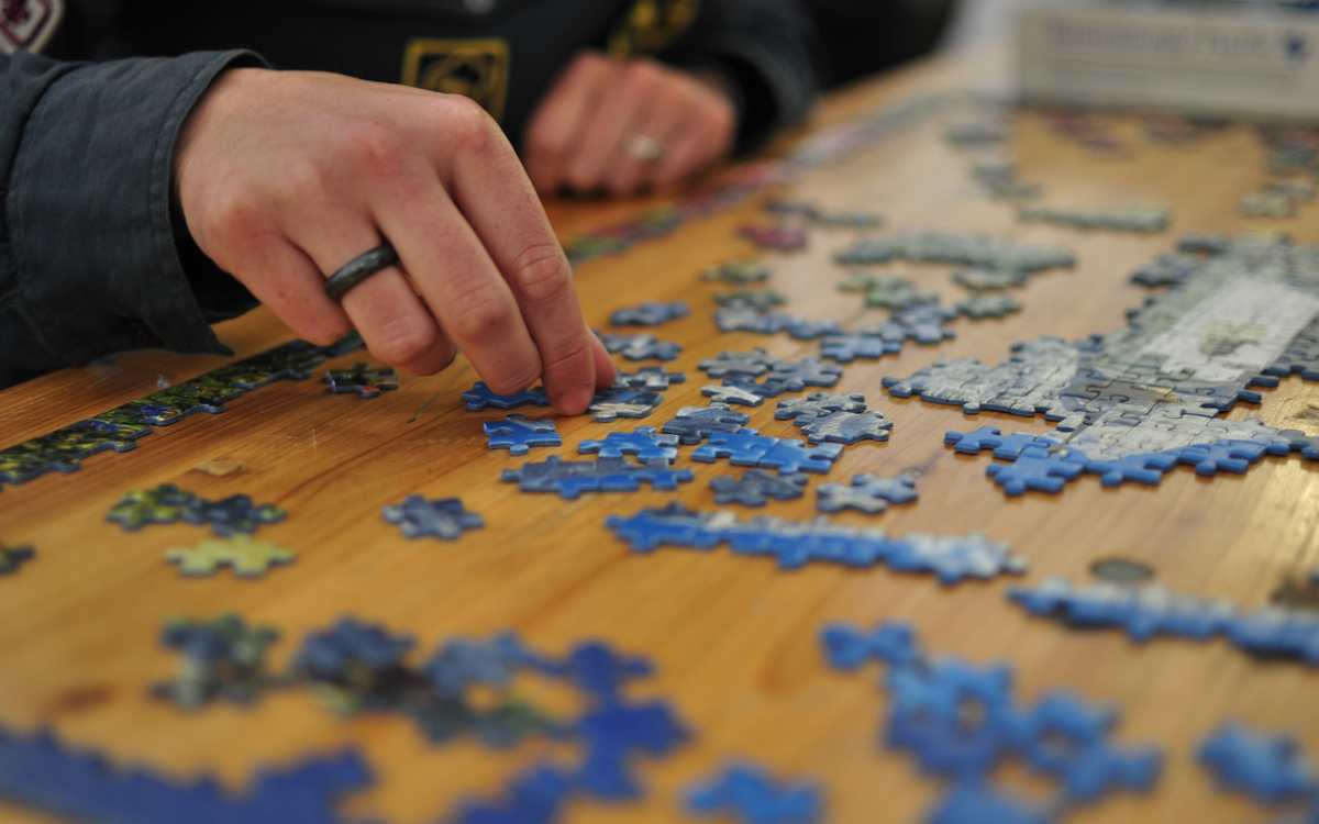 Concours de Puzzle à la bibliothèque Buffon