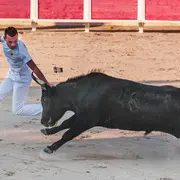 Concours de raseteurs