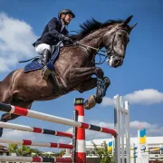 Concours de saut d'obstacles