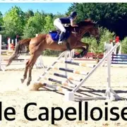 Concours de saut d'obstacles