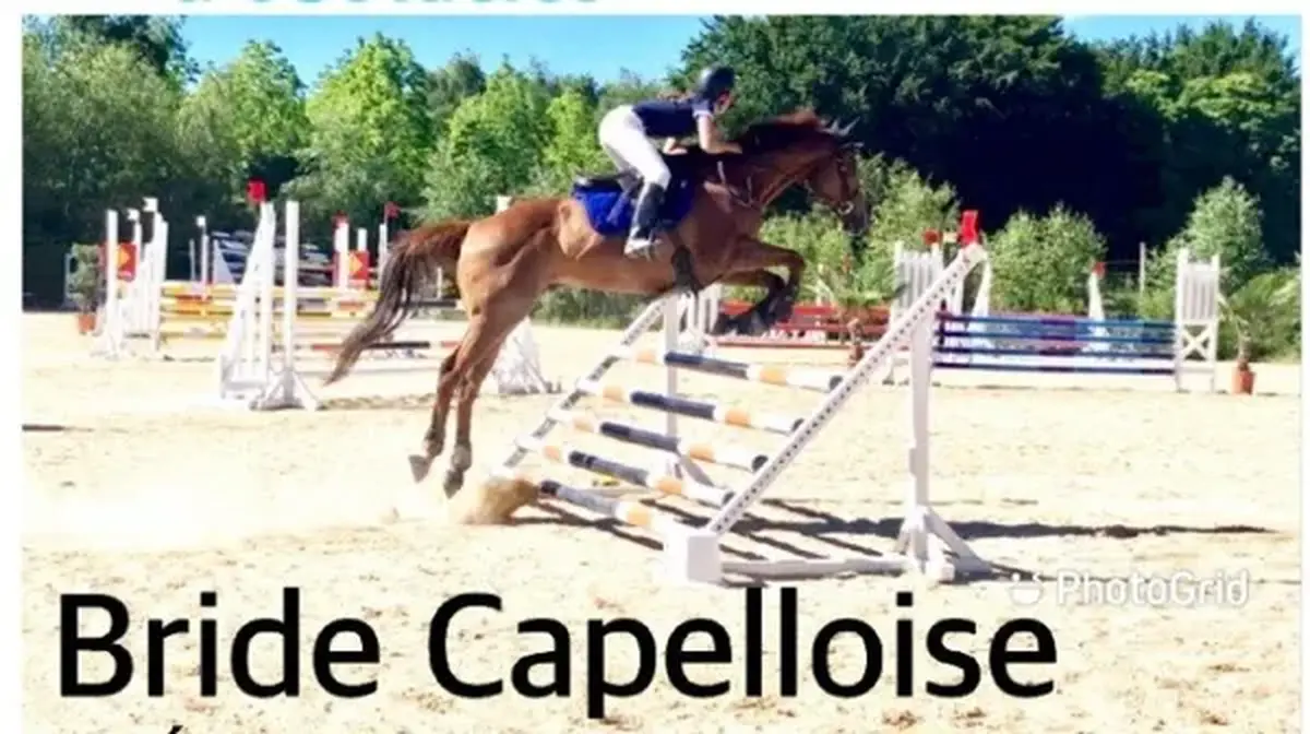 Concours de saut d'obstacles