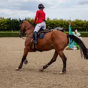 Concours de Saut d'Obstacles - ACEVA