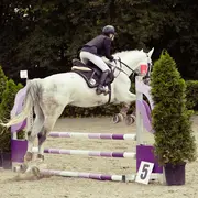 Concours de saut d'obstacles Jump Halloween