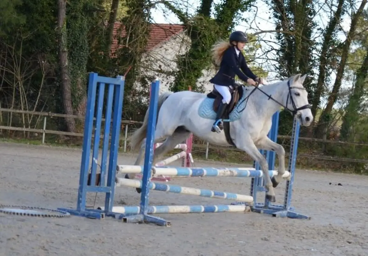 Concours de sauts d'obstacles au Centre équestre