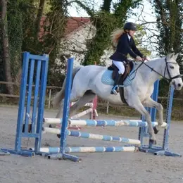 Concours de sauts d'obstacles au Centre équestre