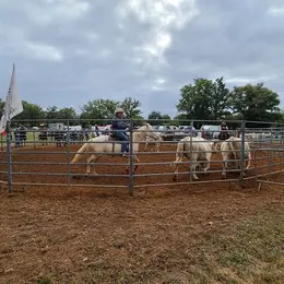 Concours de tri de bétail