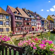 Concours de végétalisation et d'embellissement à Colmar : inscrivez-vous pour fleurir la ville