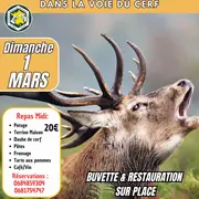 Concours départementale meutes dans la voie du cerf