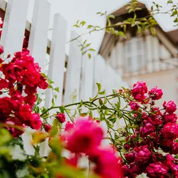 Concours des Maisons et Balcons Fleuris