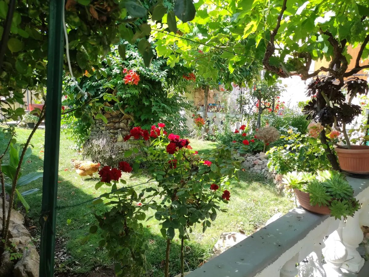 Concours des maisons fleuries