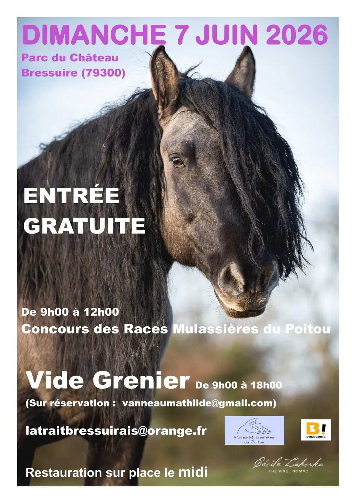 Concours des races mulassières du Poitou et vide-grenier