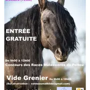 Concours des races mulassières du Poitou et vide-grenier