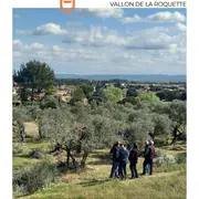 Concours Francis Falabrègue de taille des oliviers