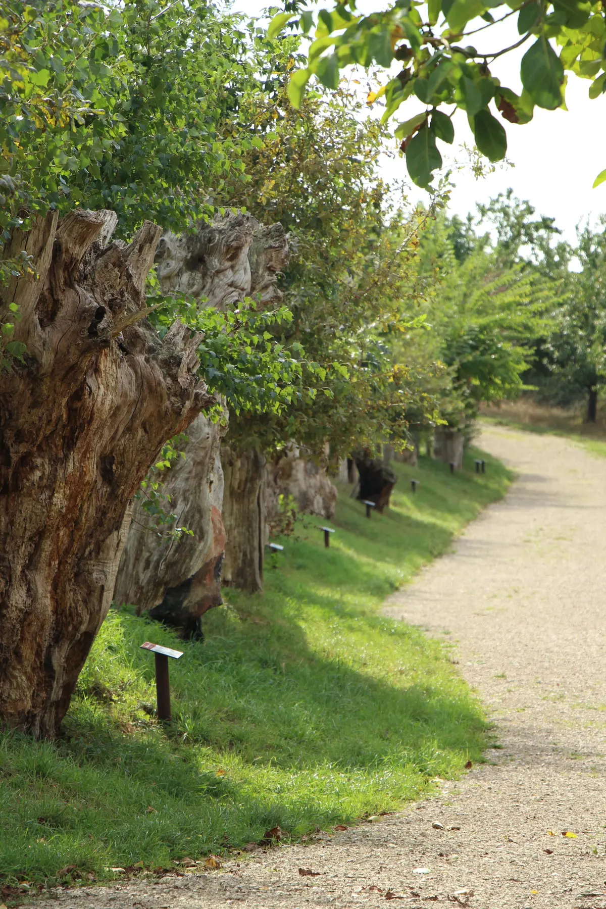 Concours  Les Couleurs du Temple et du Perche