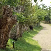 Concours  Les Couleurs du Temple et du Perche