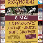 Concours Monte-Camargue et attelages