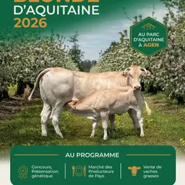Concours national blonde d'aquitaine
