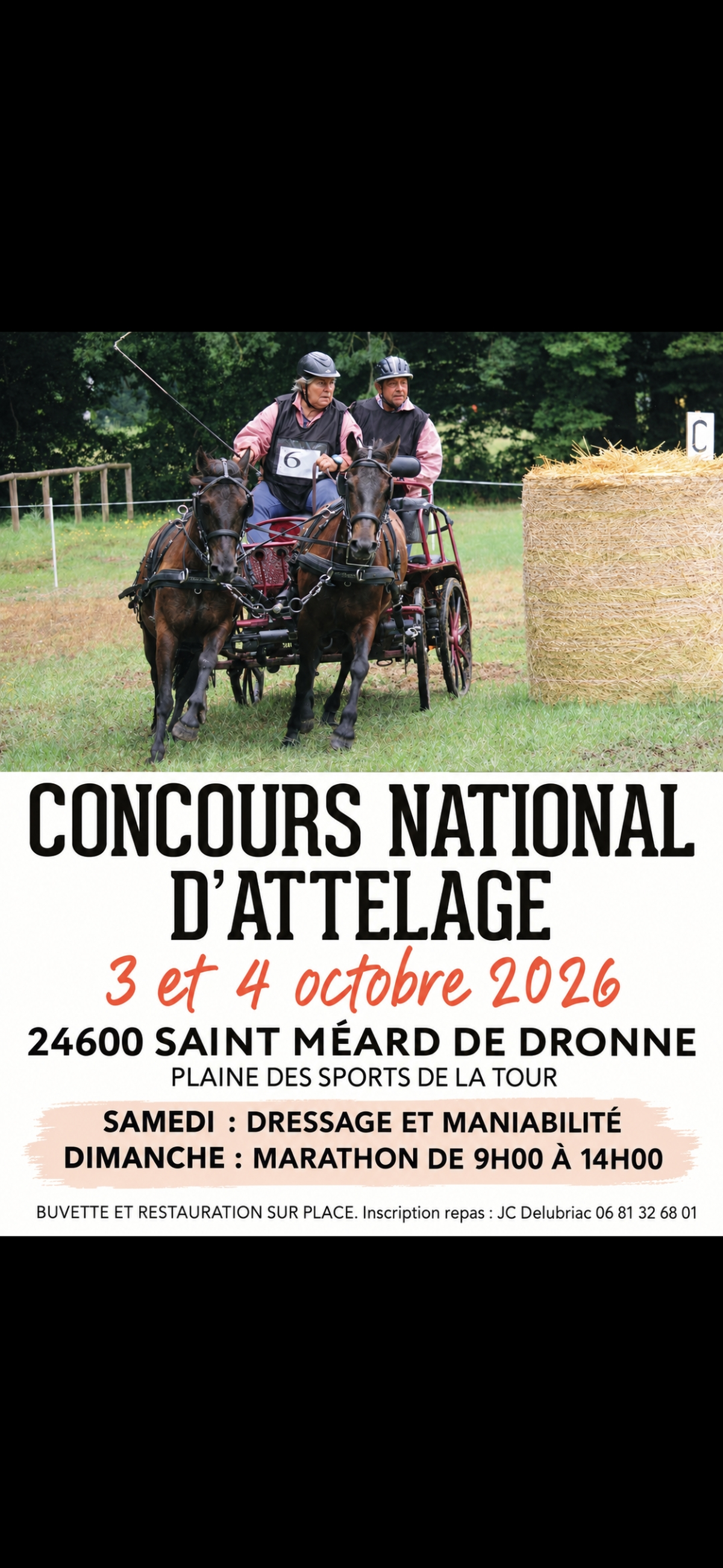 Concours National d'Attelage