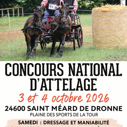 Concours National d'Attelage