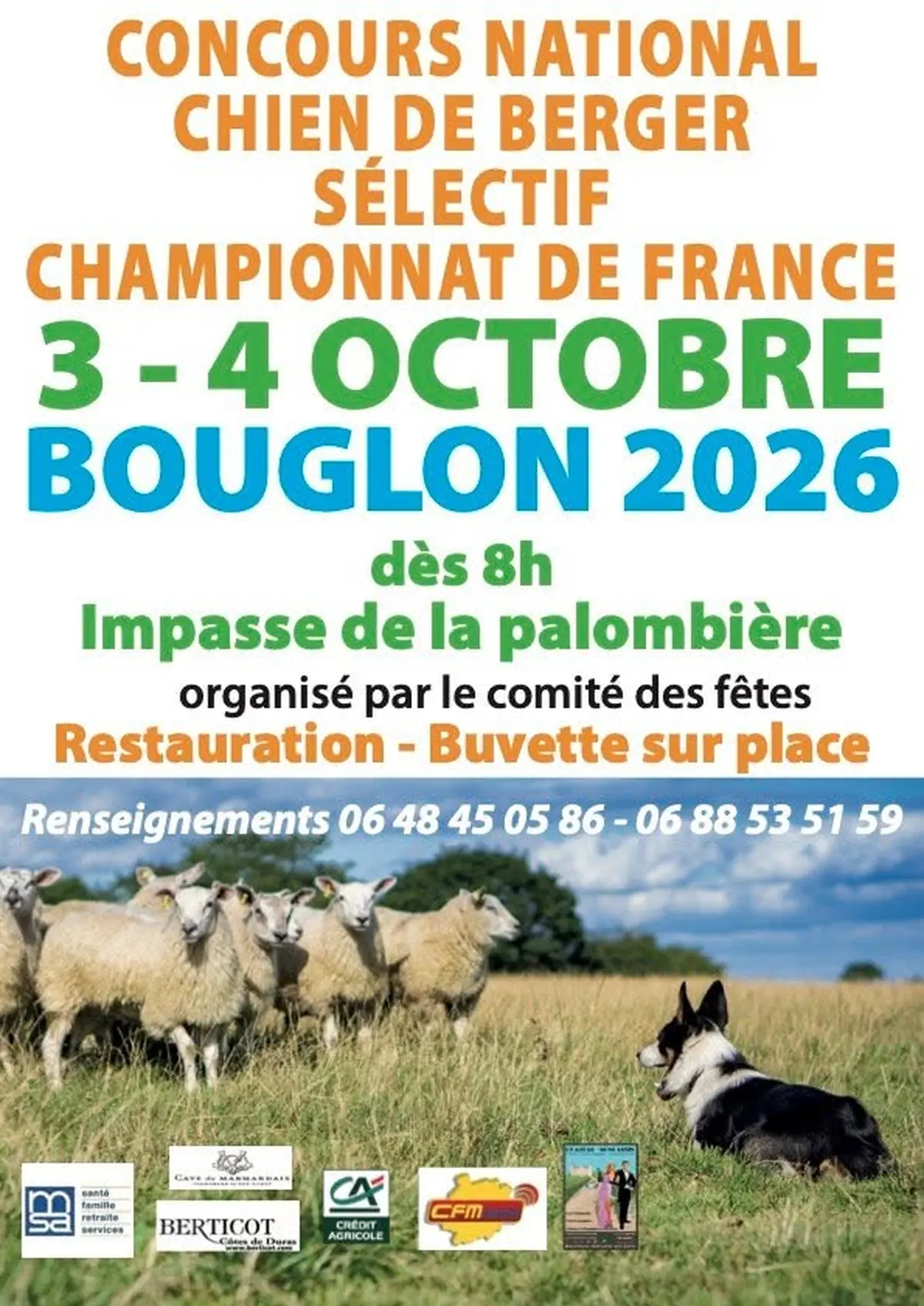 Concours national de chien de berger