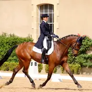 Concours national de dressage