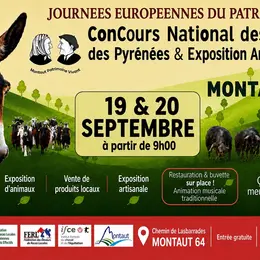 Concours national des ânes des pyrénées